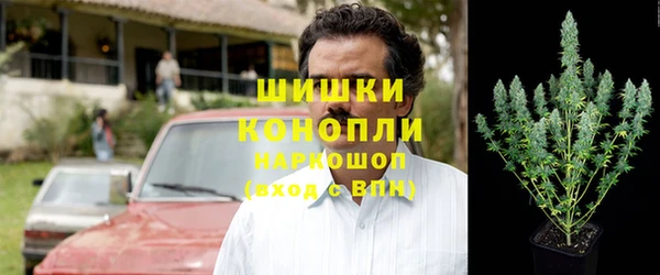 гидропоника Алзамай