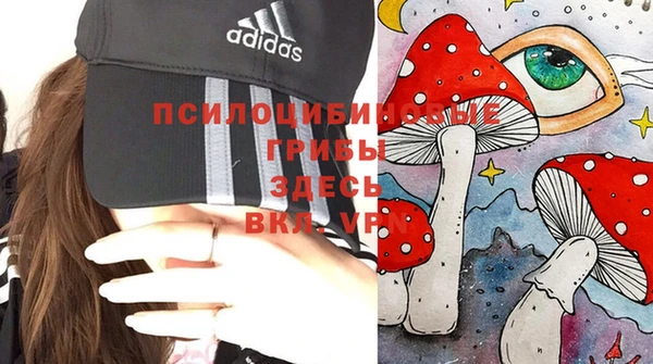 гидропоника Алзамай