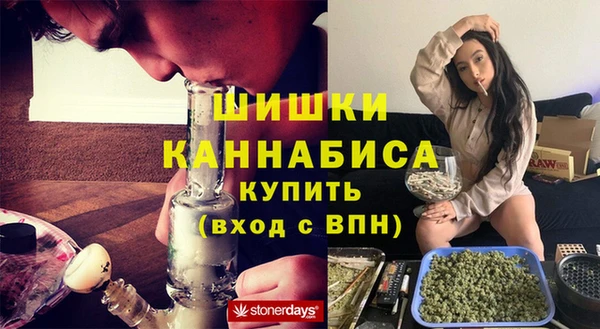 гидропоника Алзамай