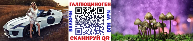 блэк спрут зеркало  Москва  Галлюциногенные грибы Magic Shrooms 